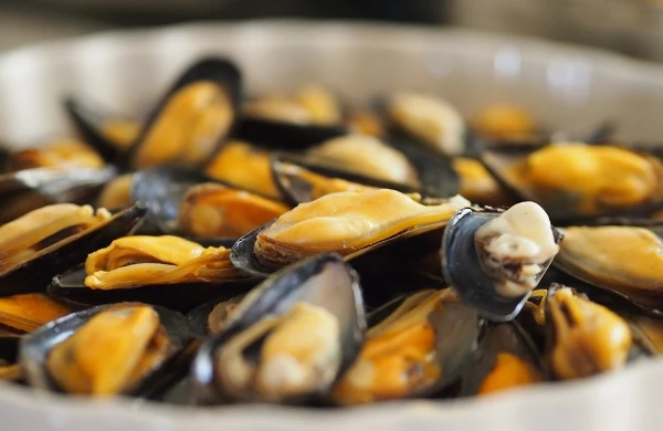 China's Molluscs Price Declines 2% to $6,300 per Ton